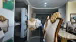 Black Table And Gold Chairs 6 Seater Royal Dining - Image 3